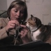Typical knitting mode, with Rosie cat  as my dedicated audience